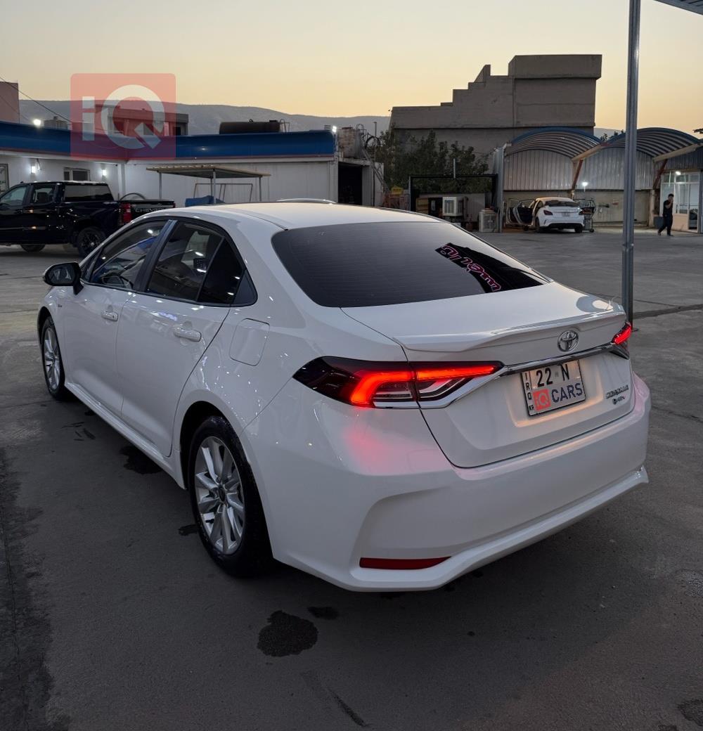 تويوتا كورولا